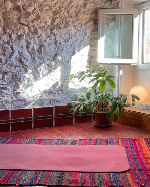 Intensif Les Choses Sauvages ✨